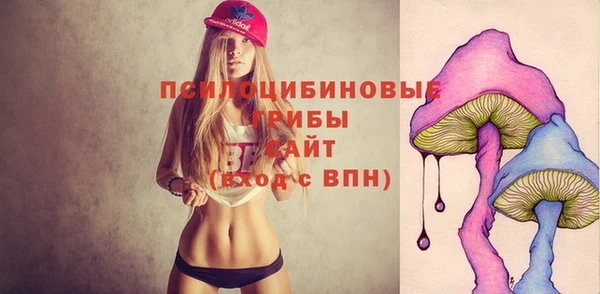 Альфа ПВП Алзамай
